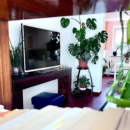 Апартаменты Lanas Place *
