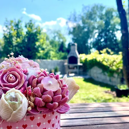 Lanas Place Любляна